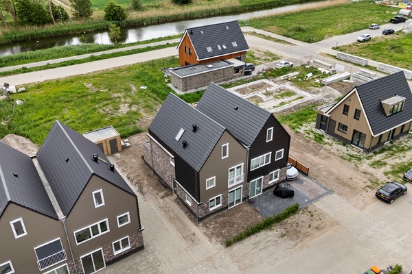 01_Moerasorchidee 31 - Lelystad.jpg